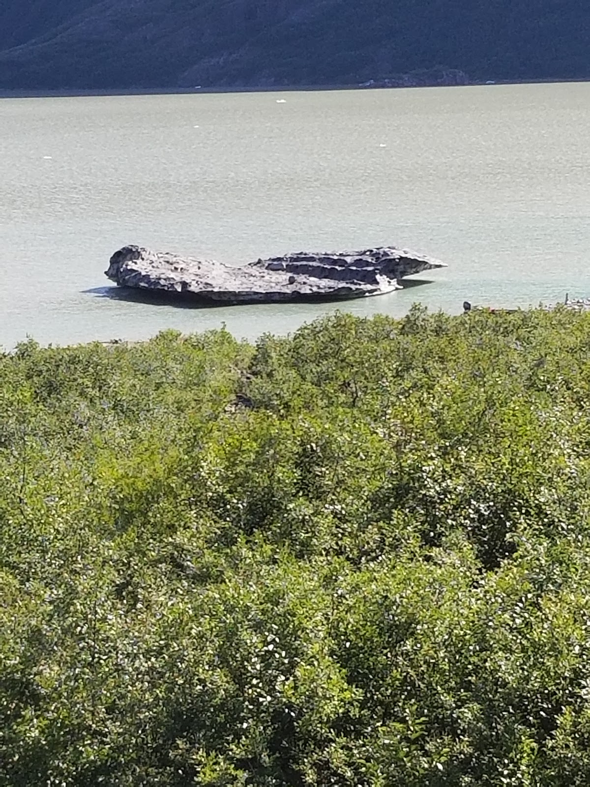 Shakes Slough 2 Cabin