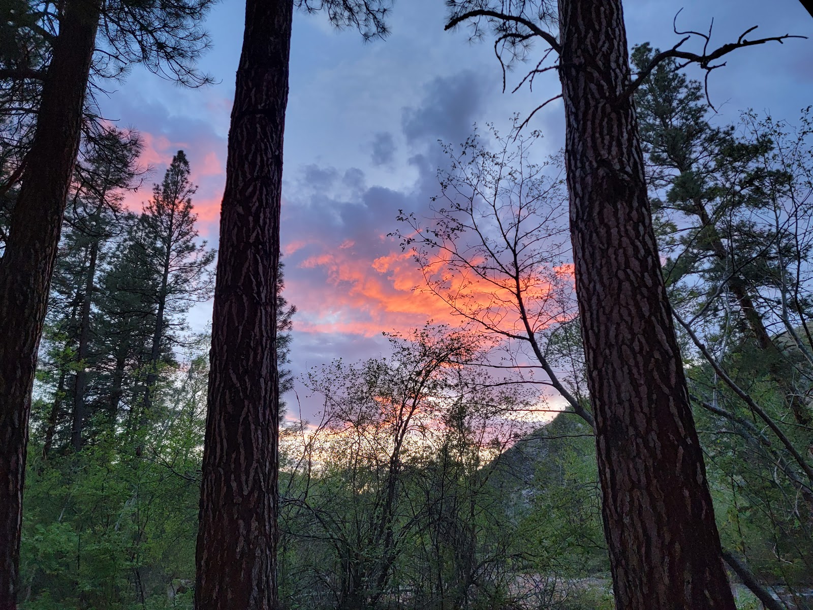 Spring Gulch Campground