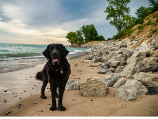 Indiana Dunes State Park
