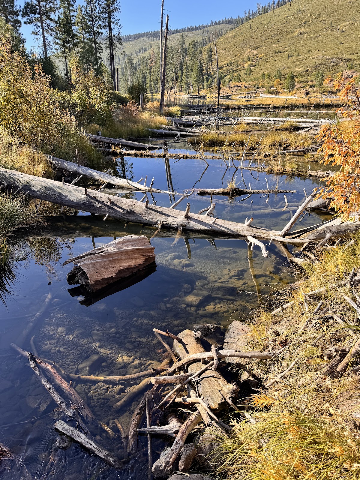 Blue Lake Campground