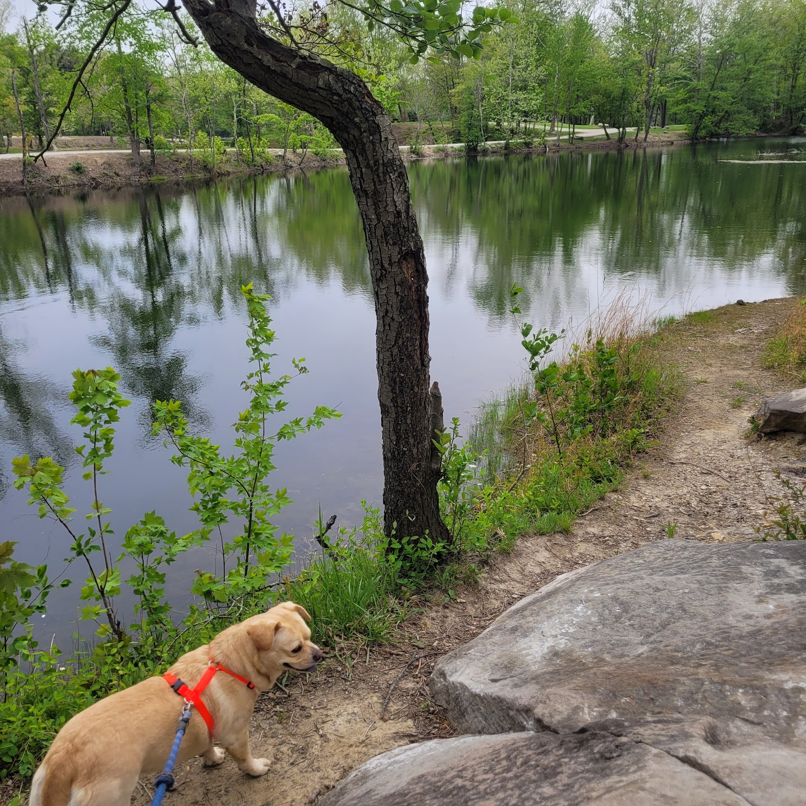 Lynnville Park Campground