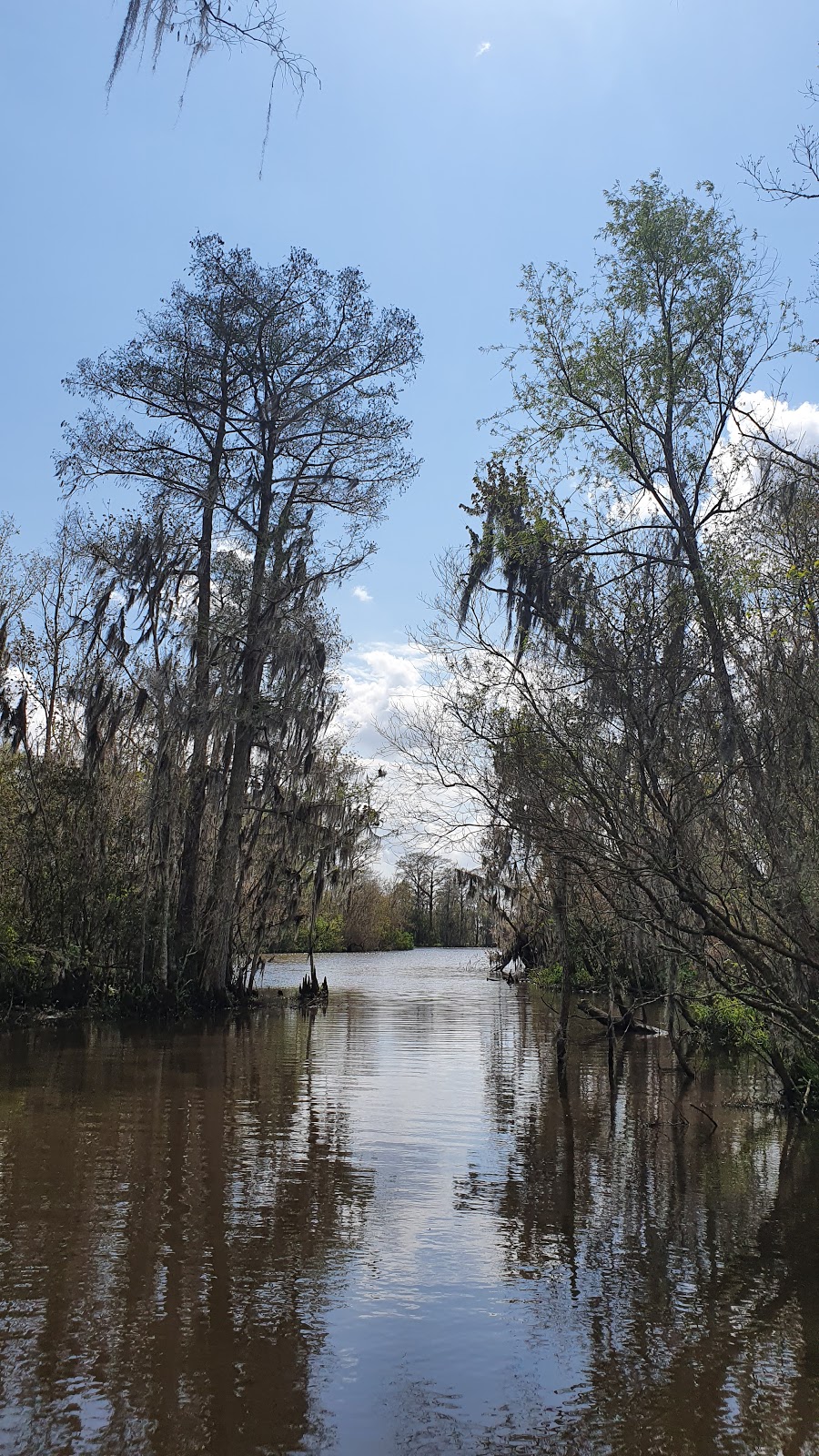 Bayou Segnette State Park