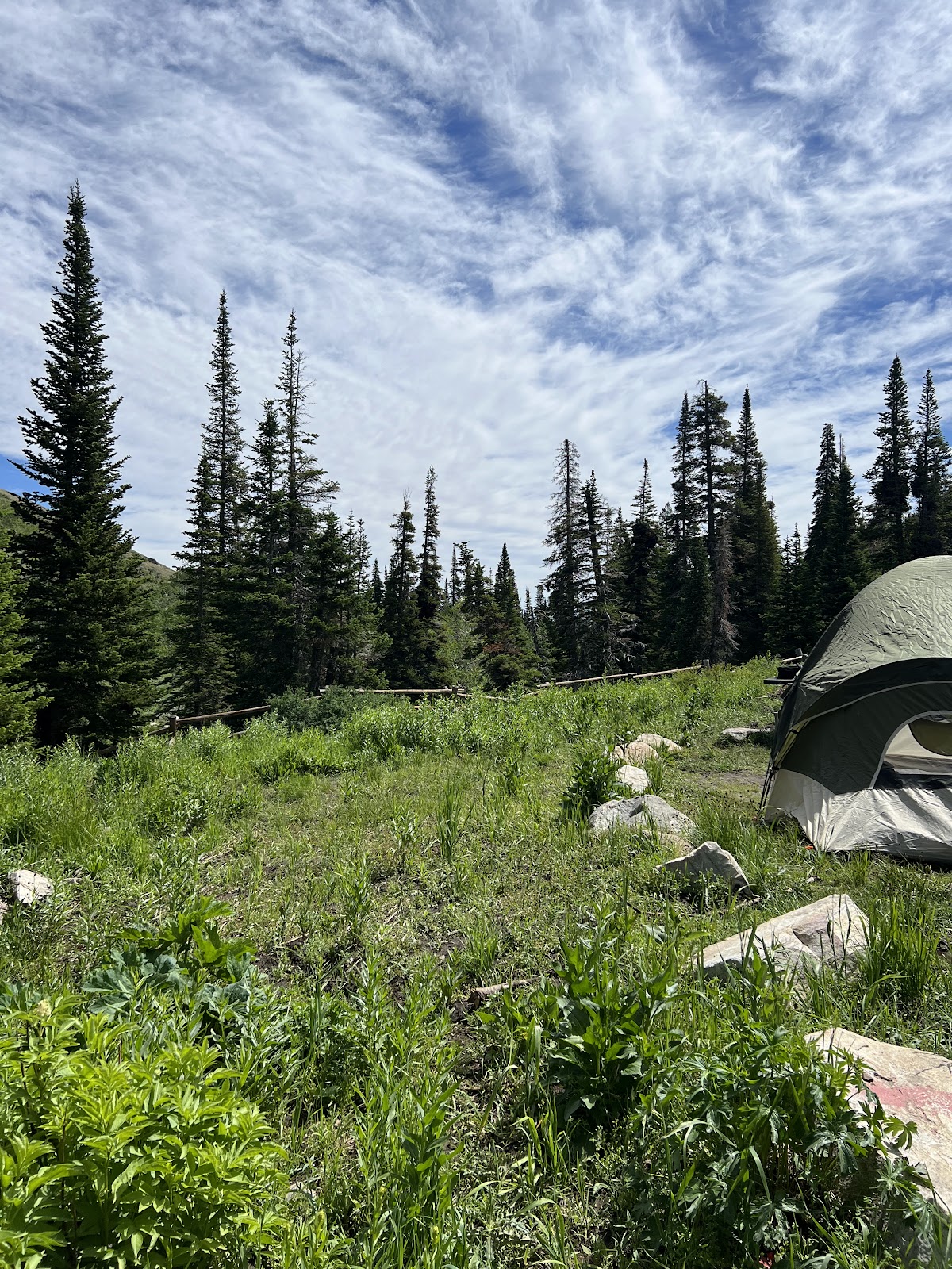 Bennett Springs Campground