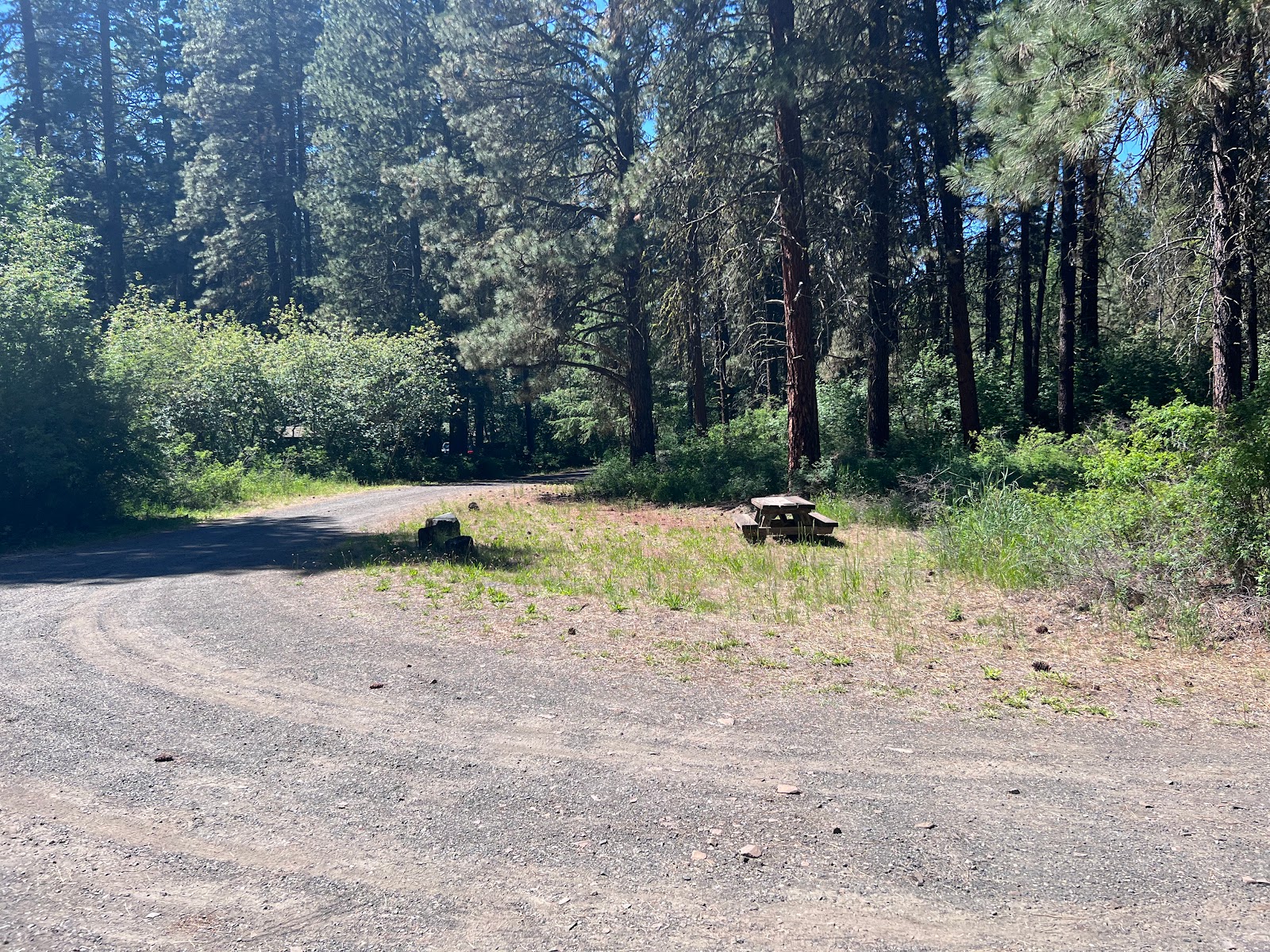 Cottonwood Campground Naches