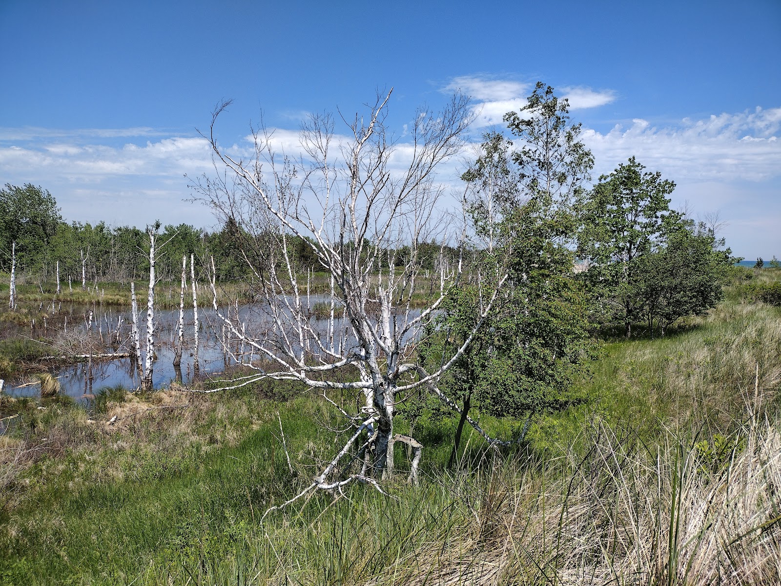 Tawas Point State Park