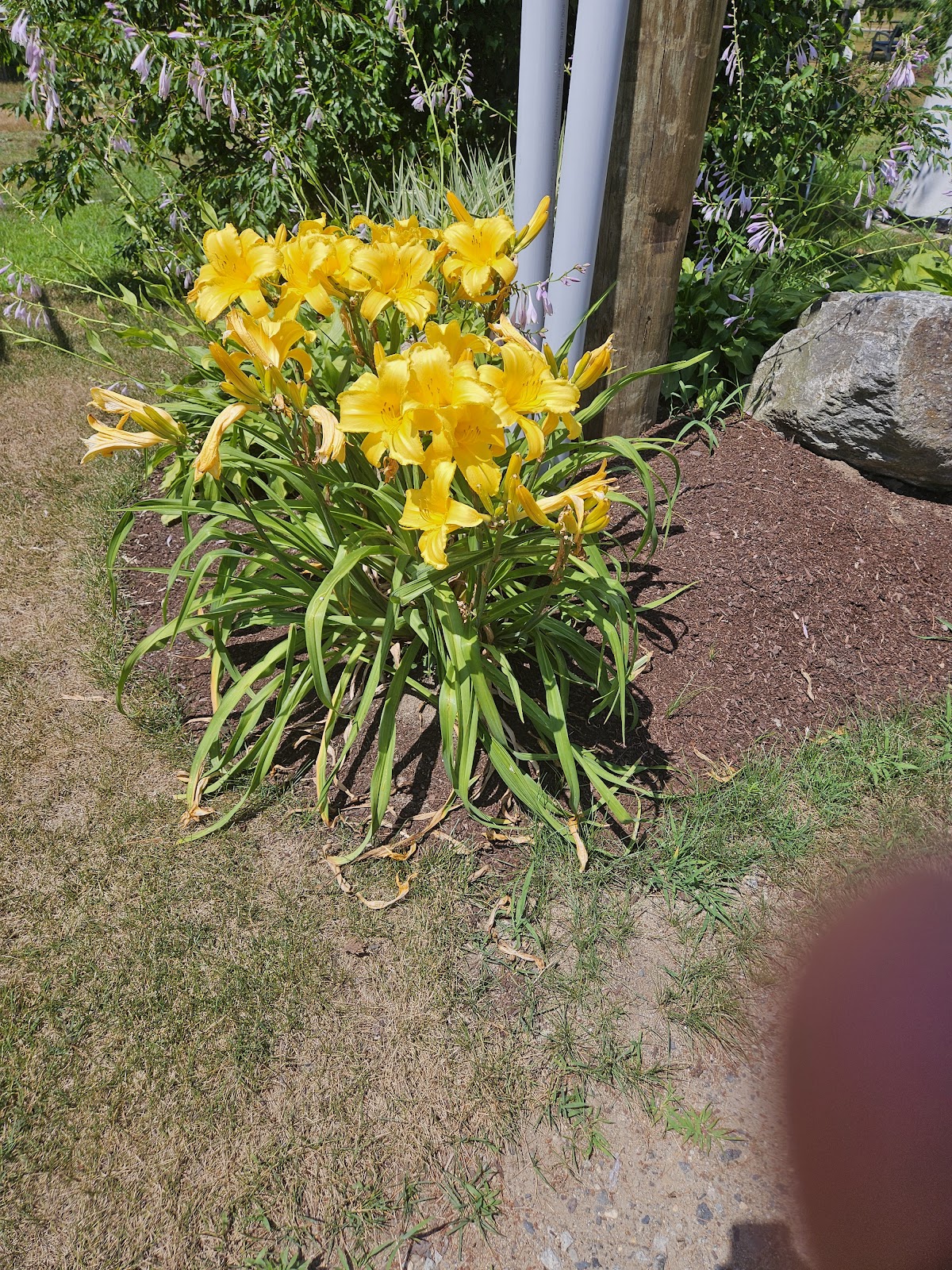 Sanford Wells Jellystone Park