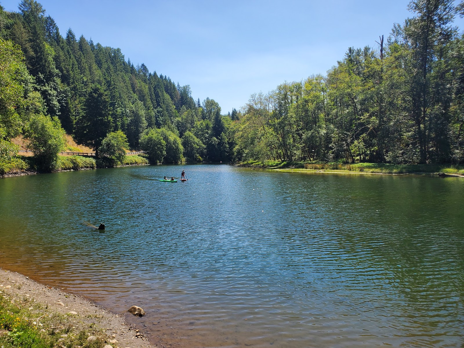 Ike Kinswa State Park