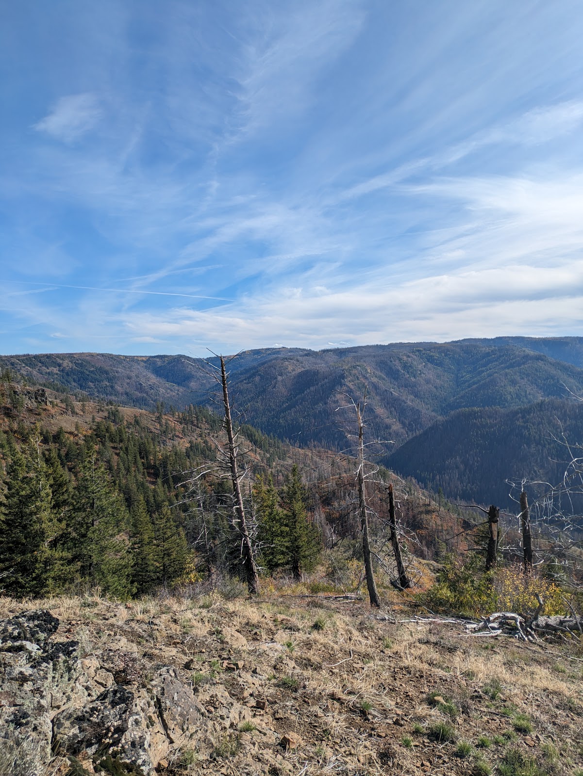Teal Spring Campground