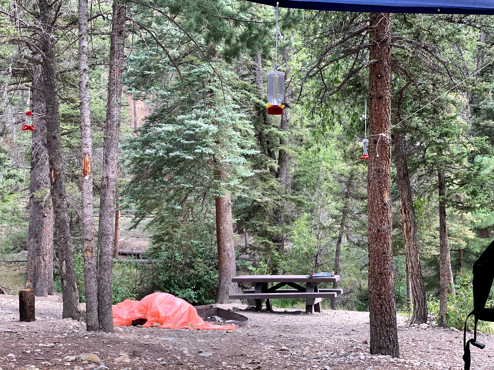 June Bug Campground