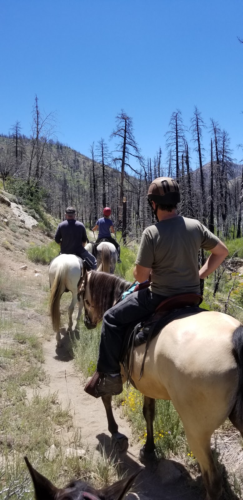 Heart Bar Equestrian Campground