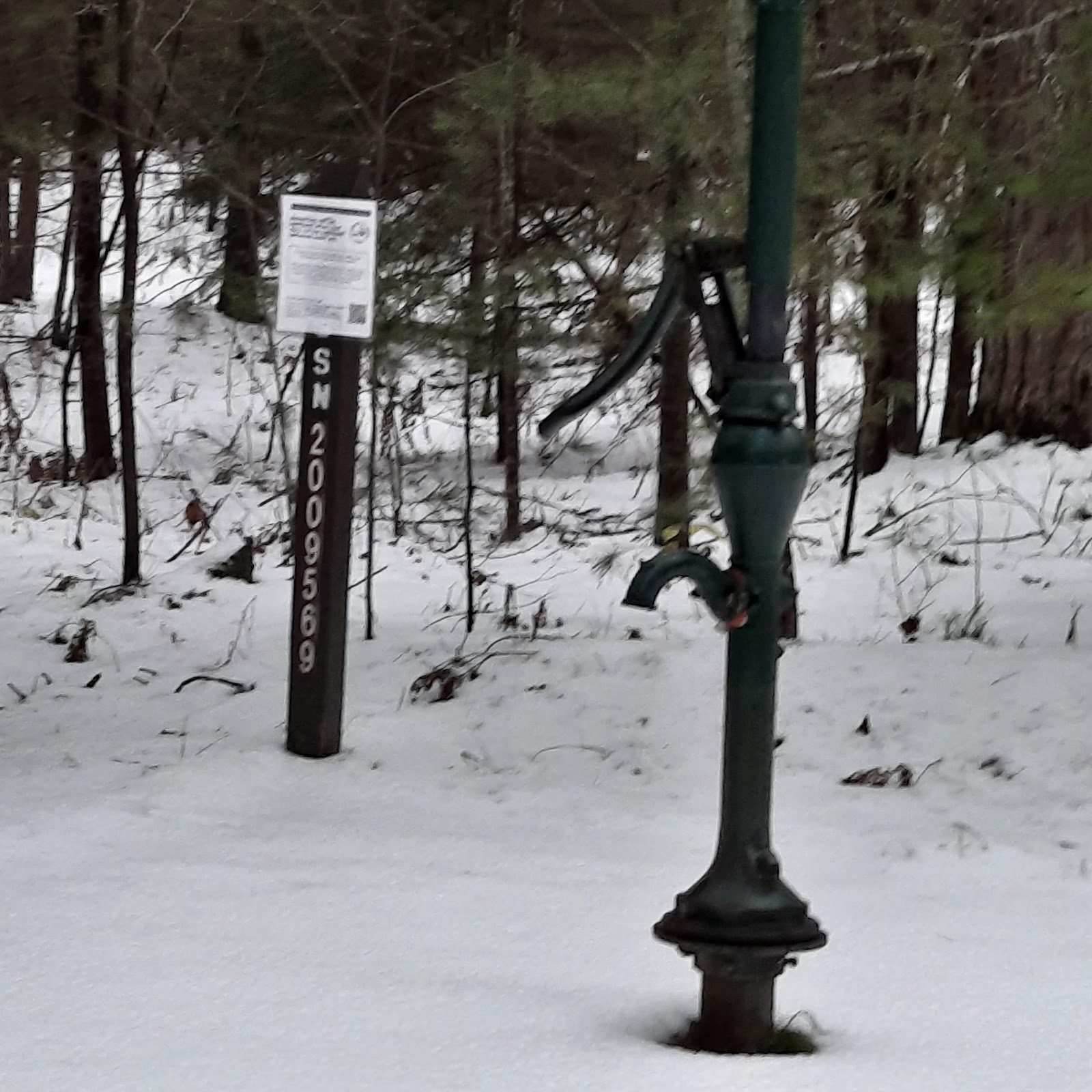 Pigeon River SF Campground