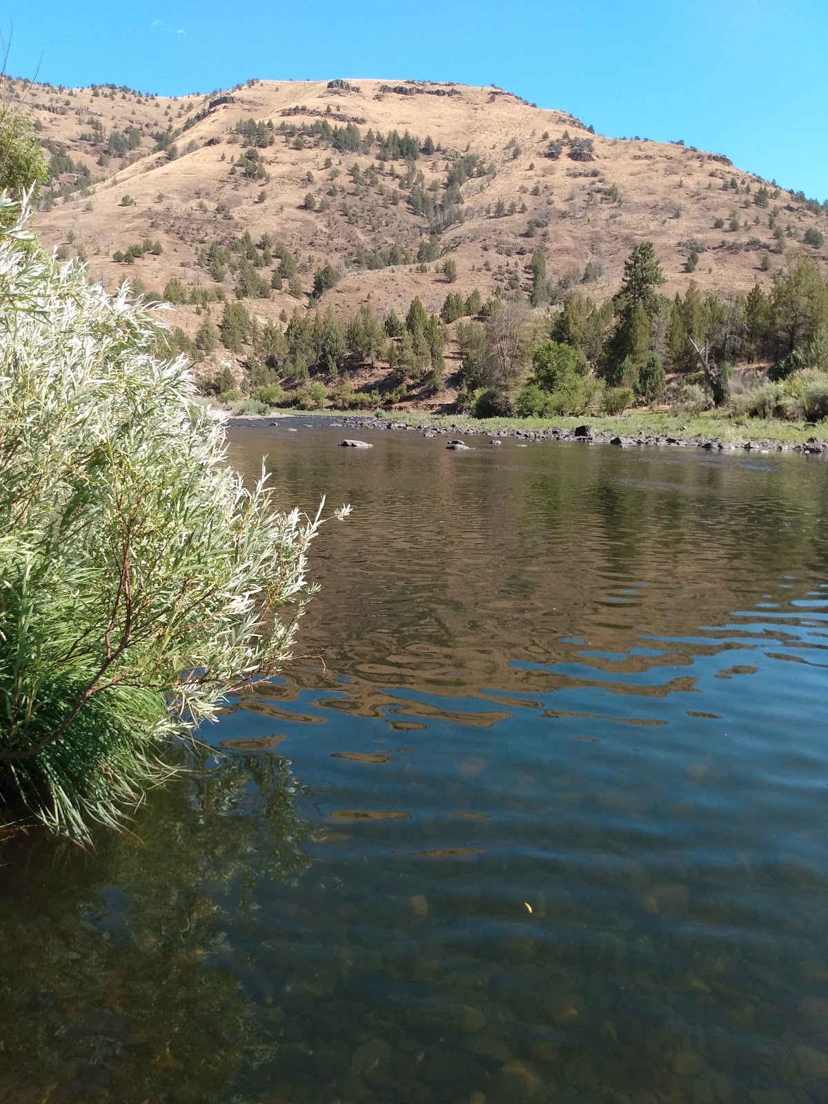 Lone Pine John Day River Campground