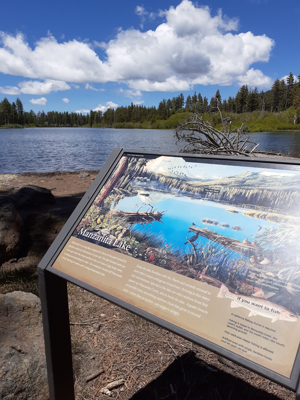 Manzanita Lake Group Campground