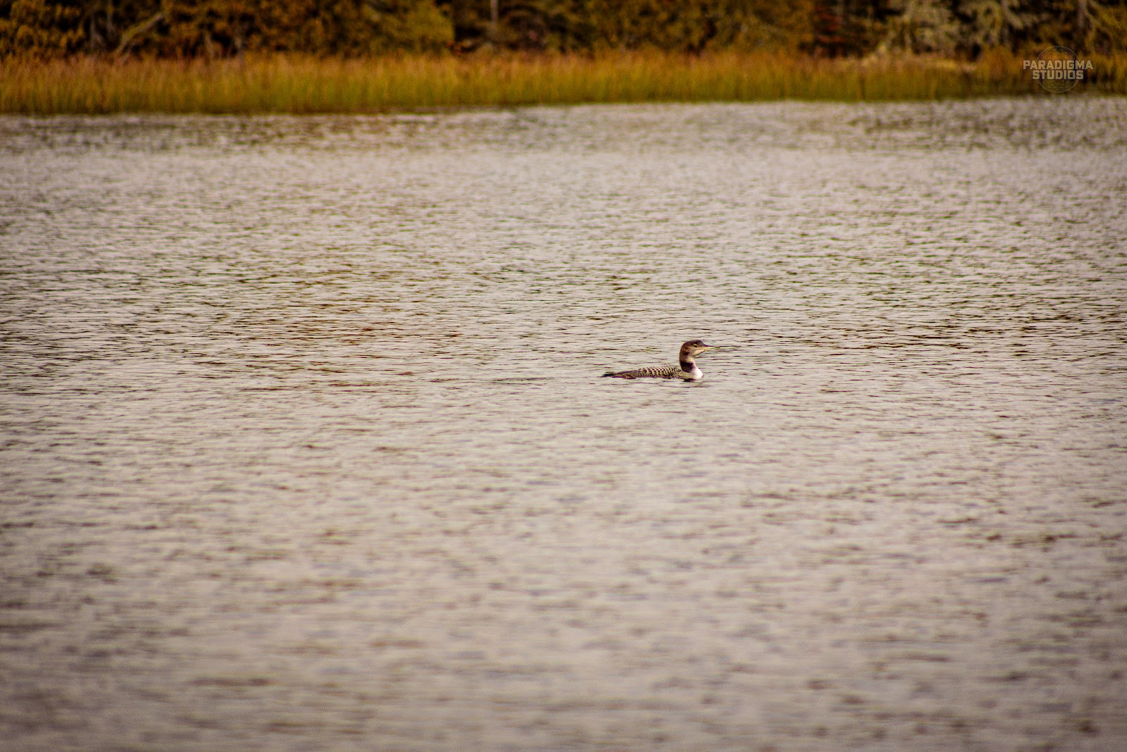 Clara Lake Rustic Campground