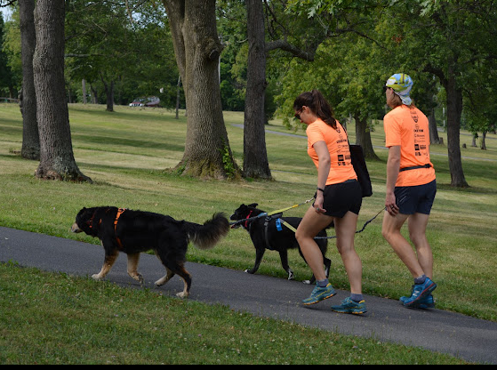 Winchester Parks and Recreation