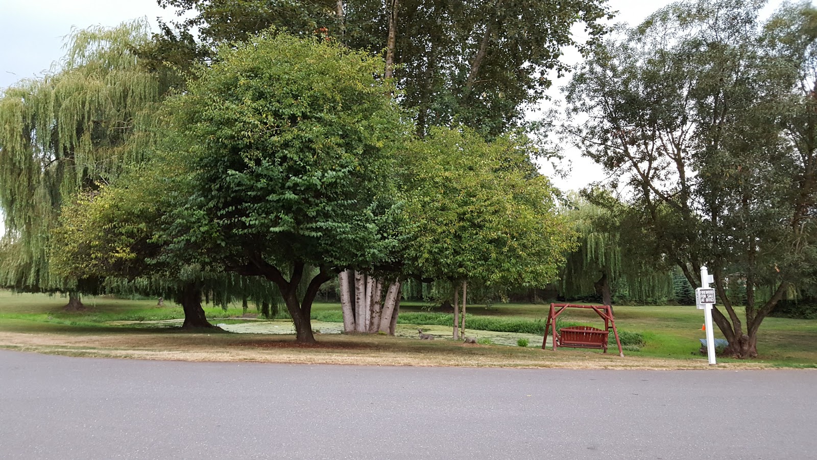 Hidden Village RV Park & Campground