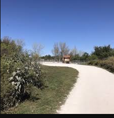 Lakeview Park & Beach