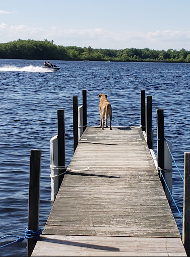 Laurel-Lock Campgrounds