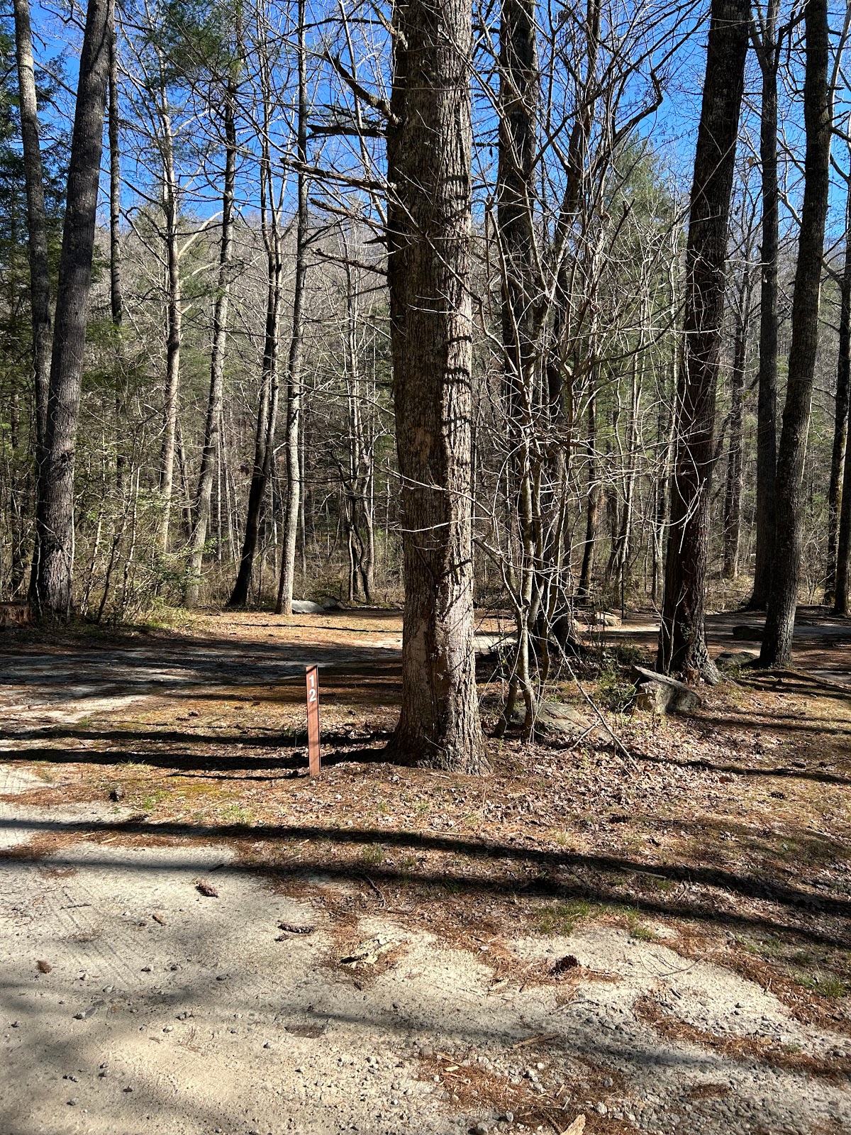 Sarahs Creek Campground