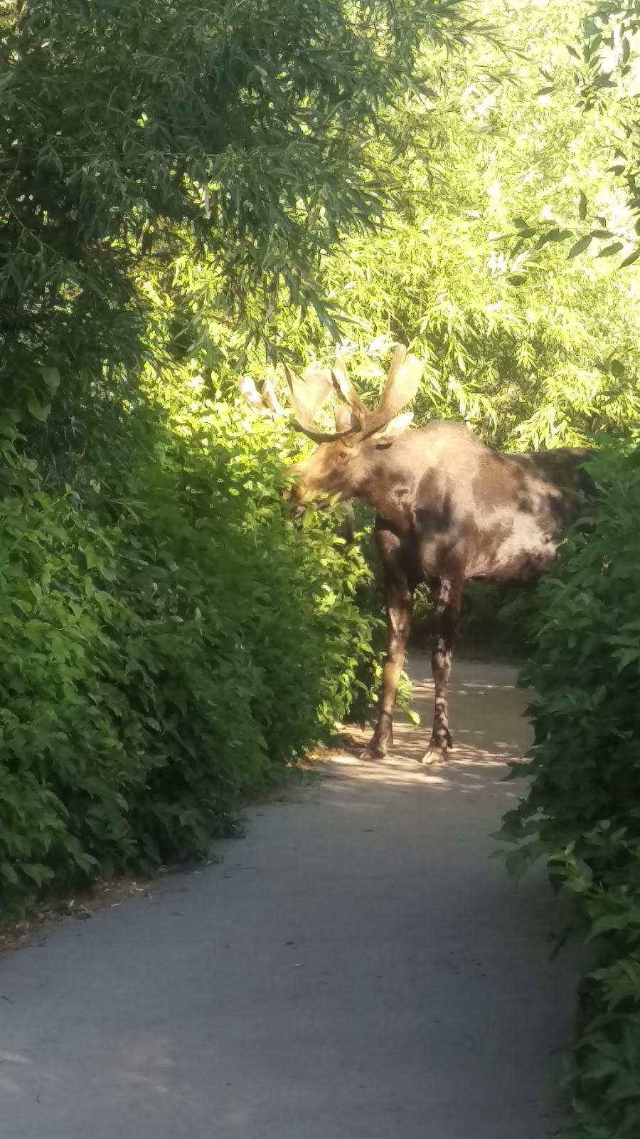 Lower Meadows Campground