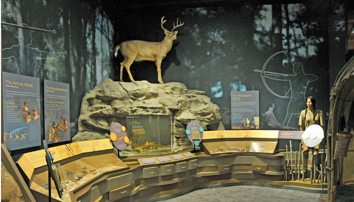 Falls of the Ohio State Park