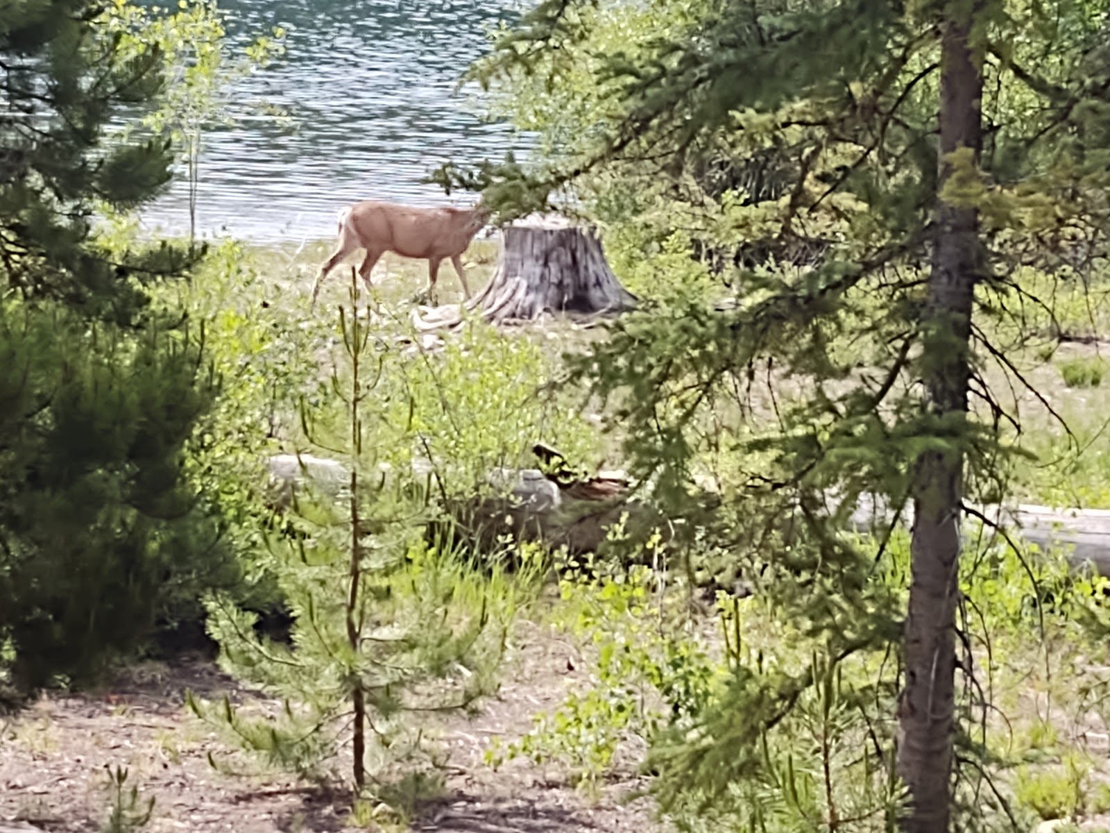 Hidden Lakes Campground