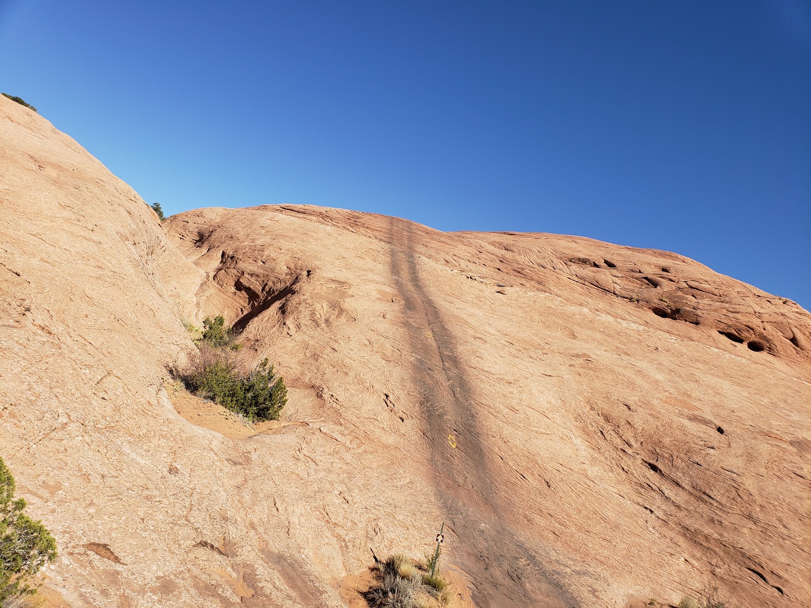 Lions Back Camp Park