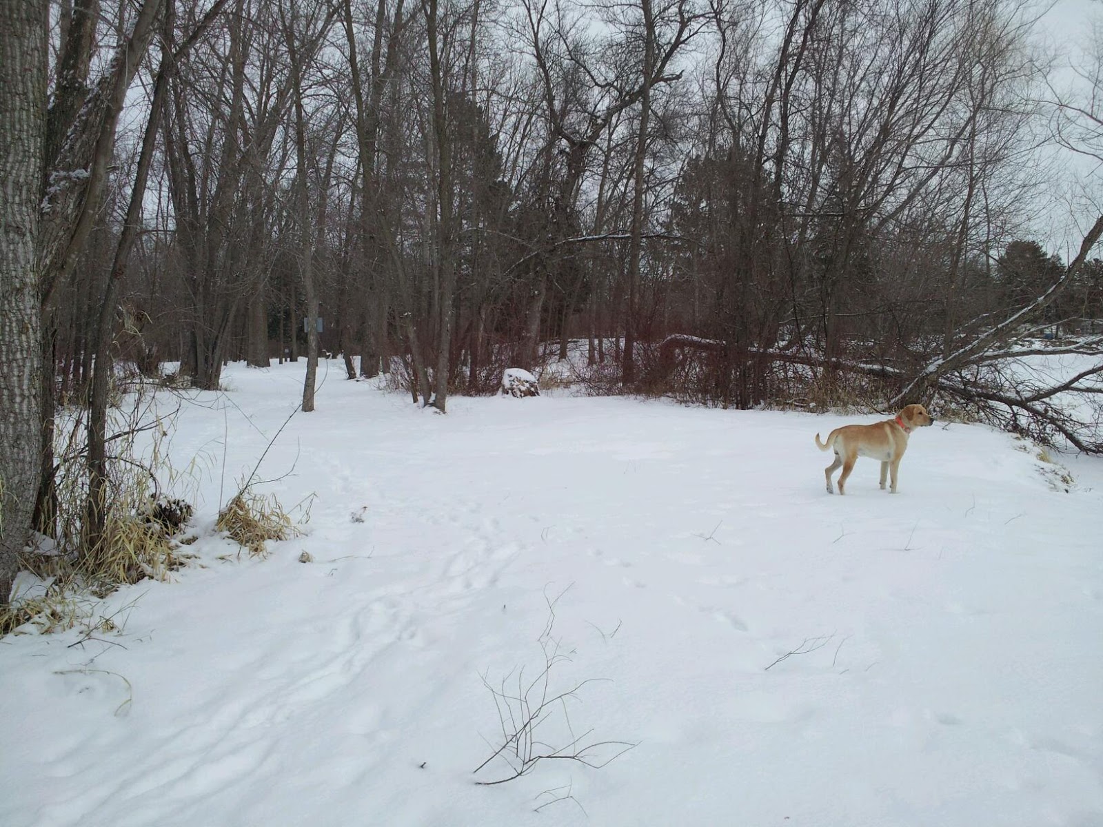 Wapiti Park Campgrounds
