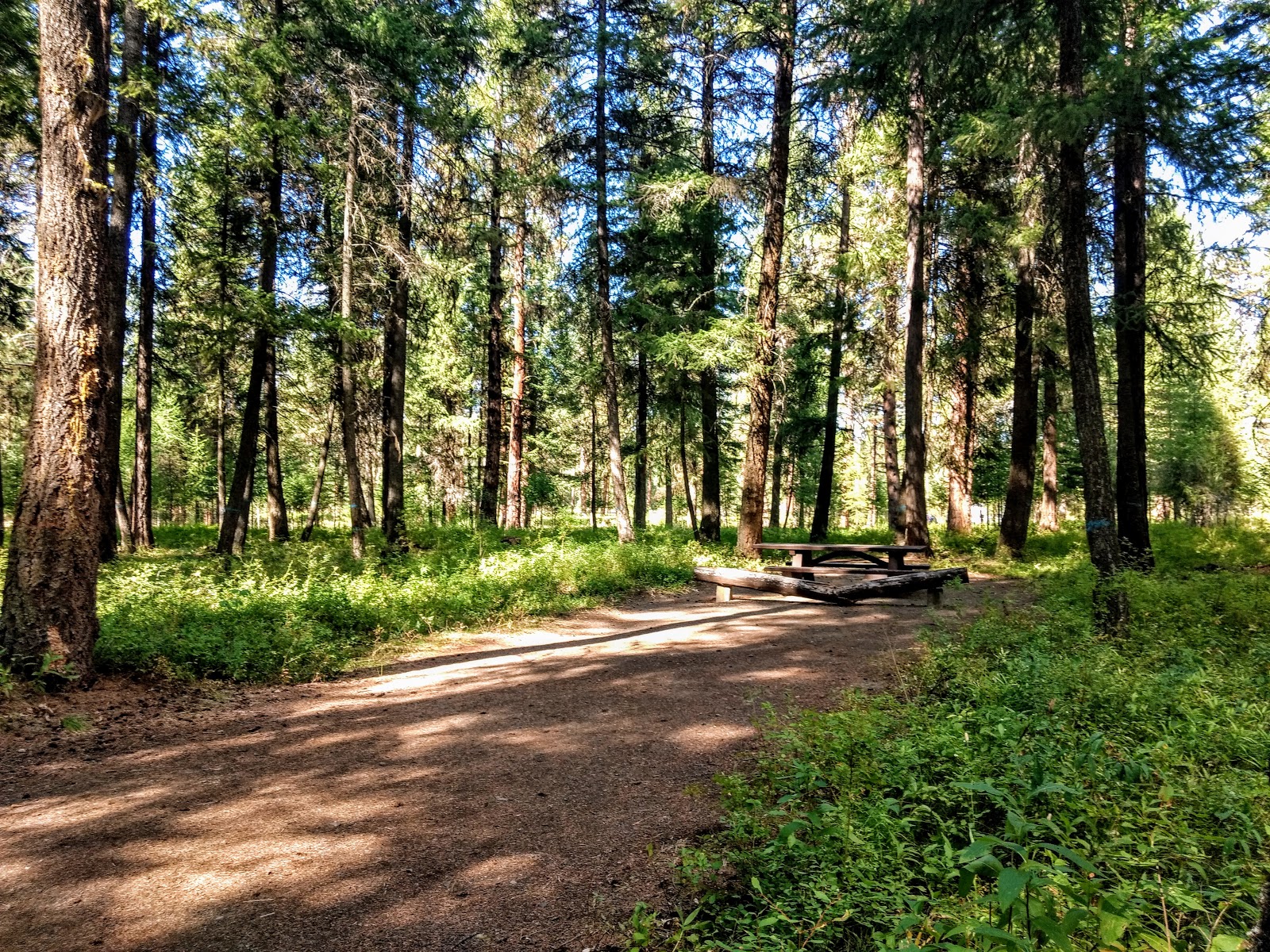 Bird Track Springs Campground