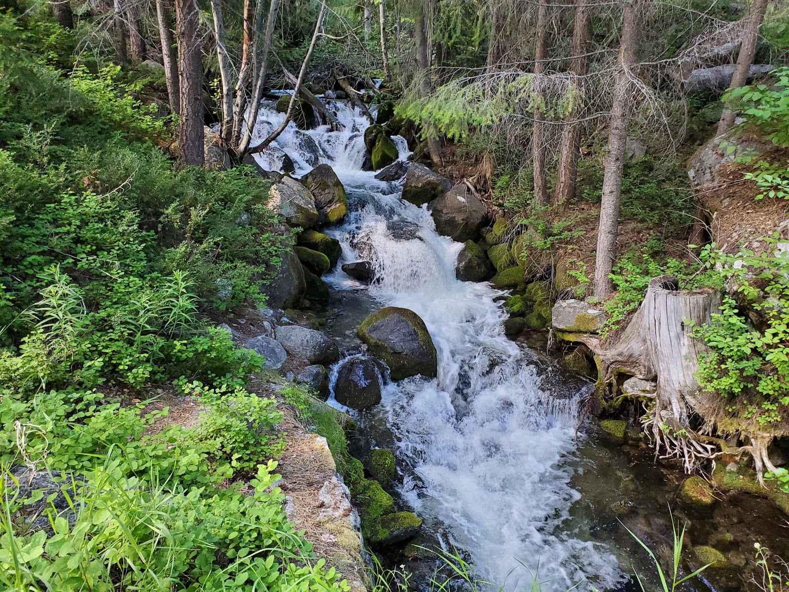 Lake Creek Campground