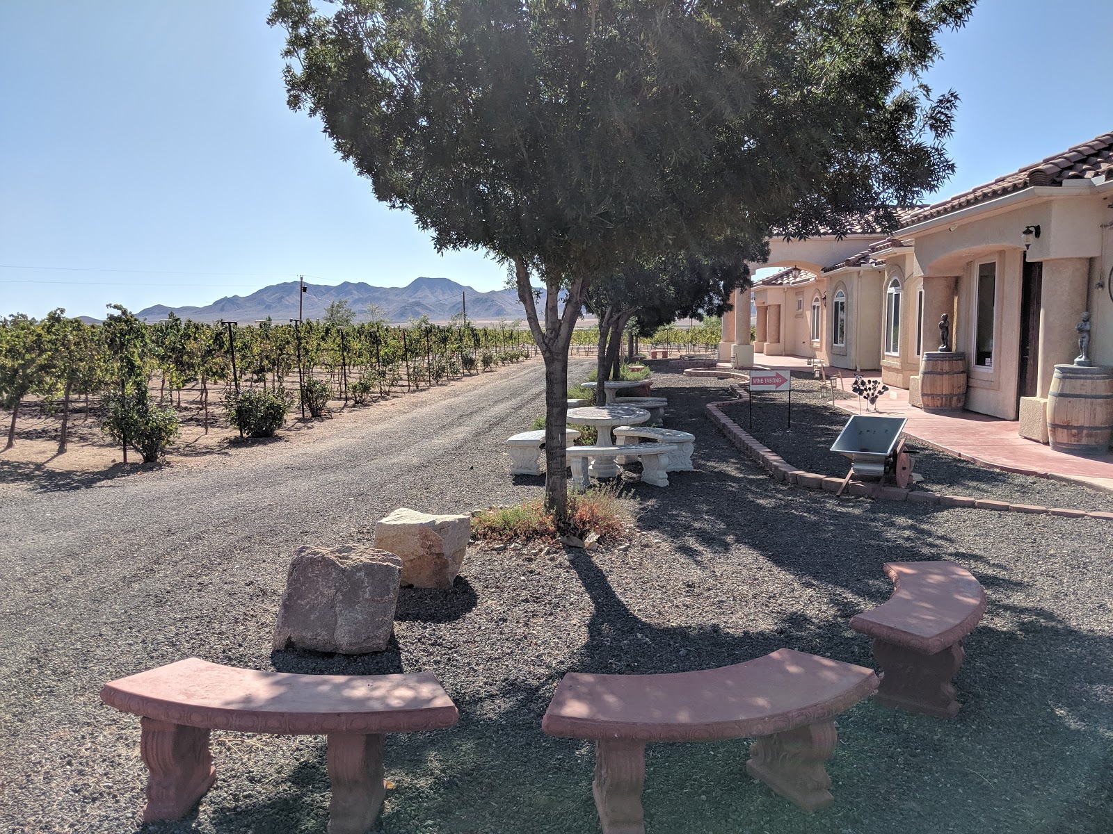 Cella Winery Camping