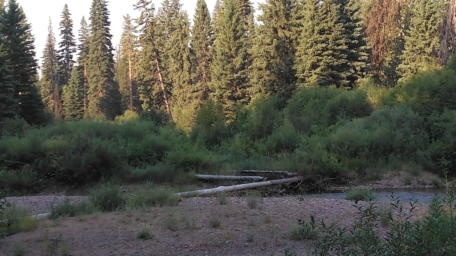 Monture Creek Campground