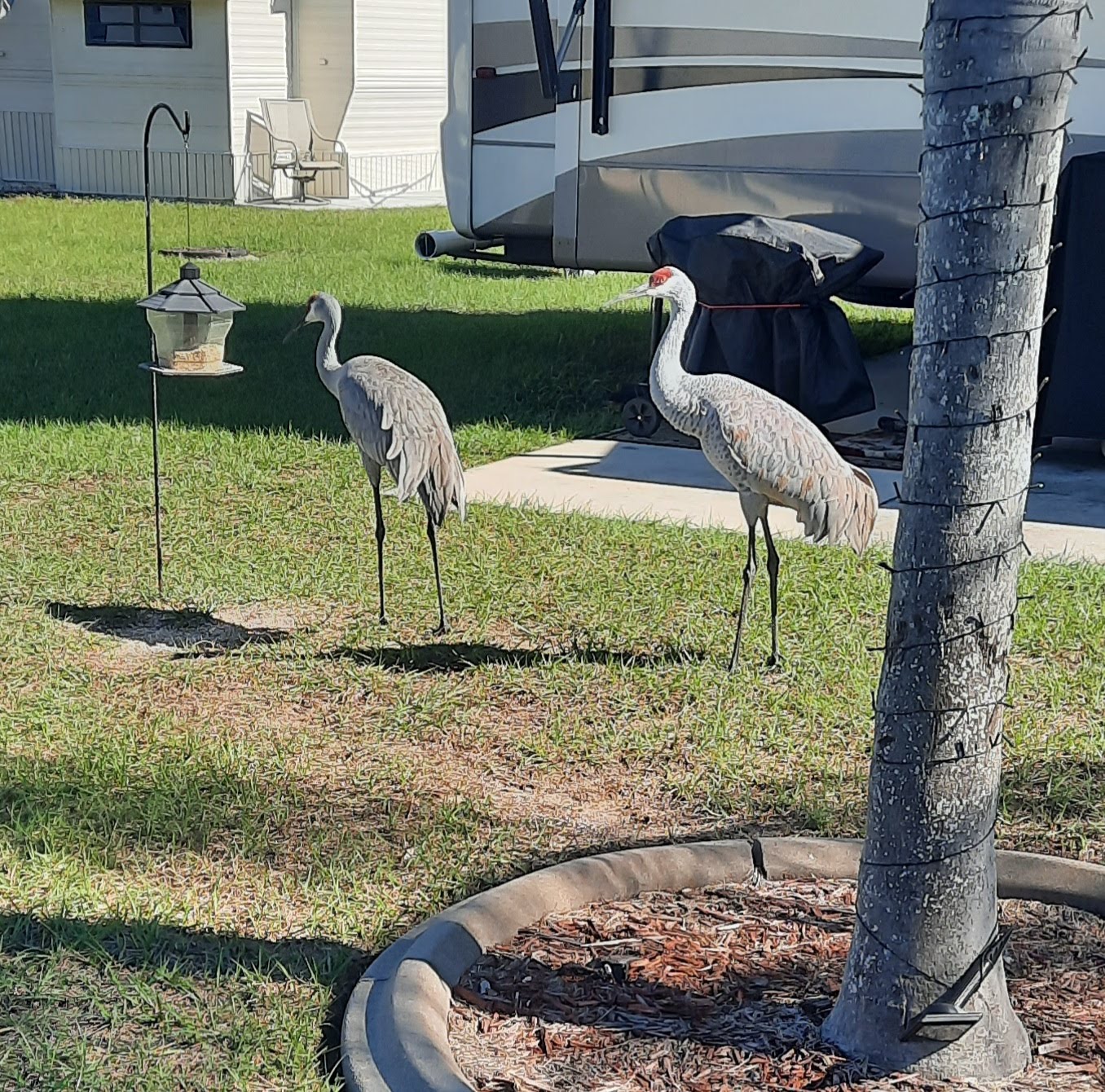 Adelaide Shores RV Park