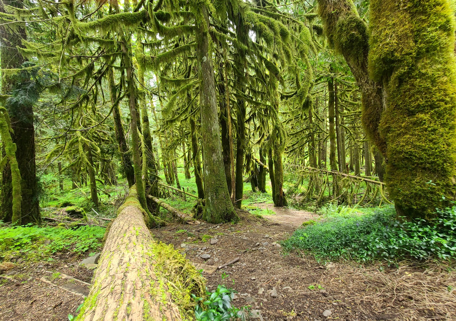 Green Canyon Campground