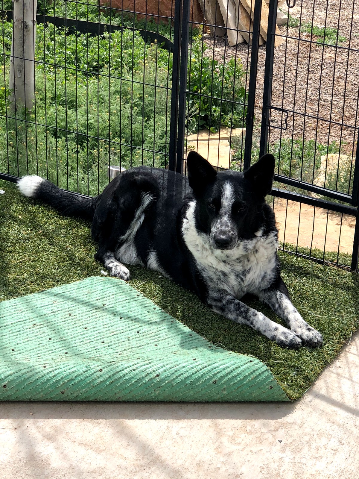 Marfa Yacht Club Airstream RV Park