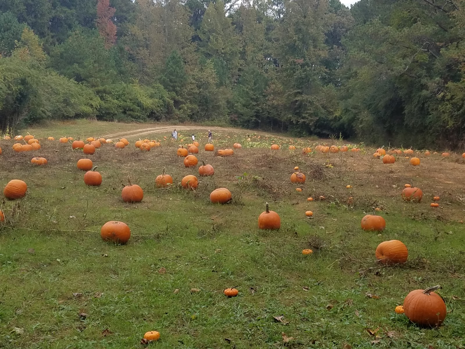 Sweetwater Valley RV Park