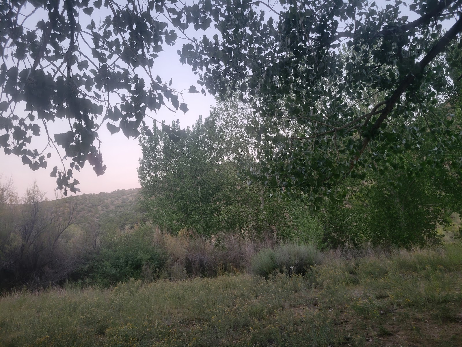 Rio Bravo Campground