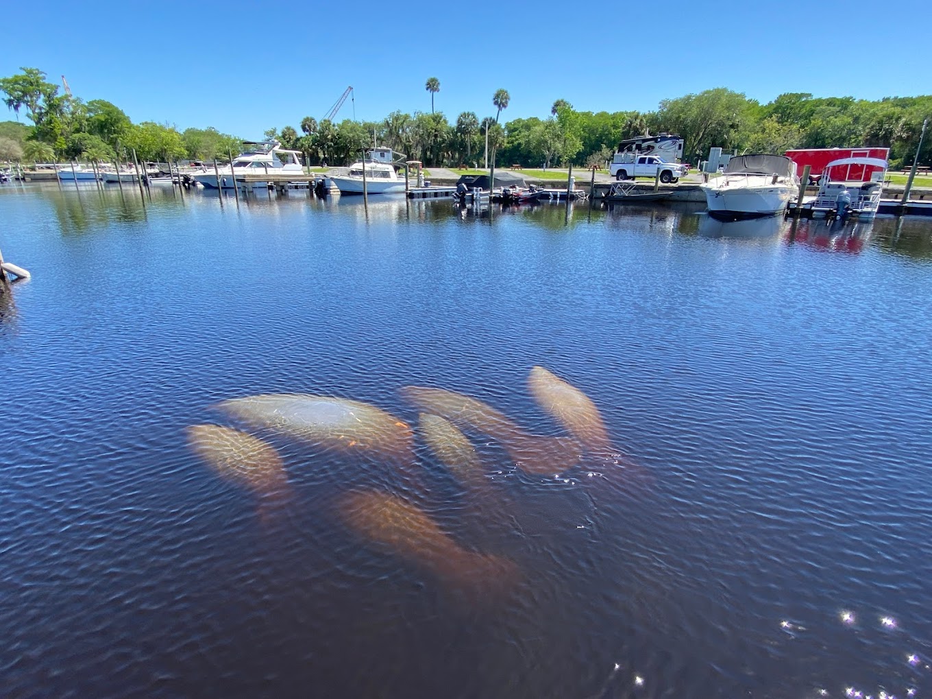 St. Johns Marina & Resort