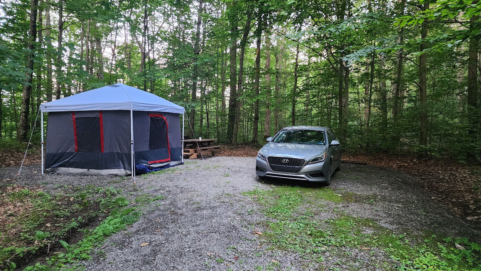 Bishop Knob NF Campground
