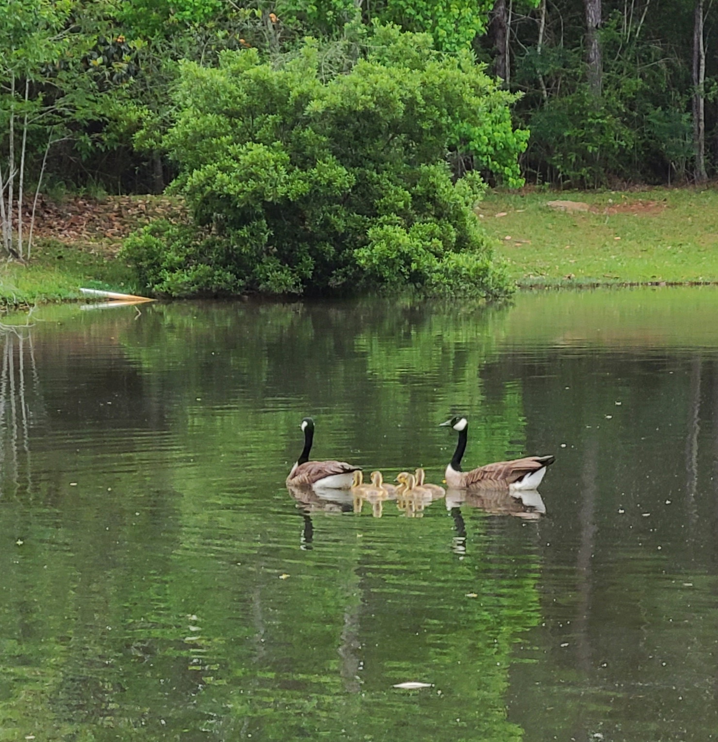 Indian Hills Nudist Park