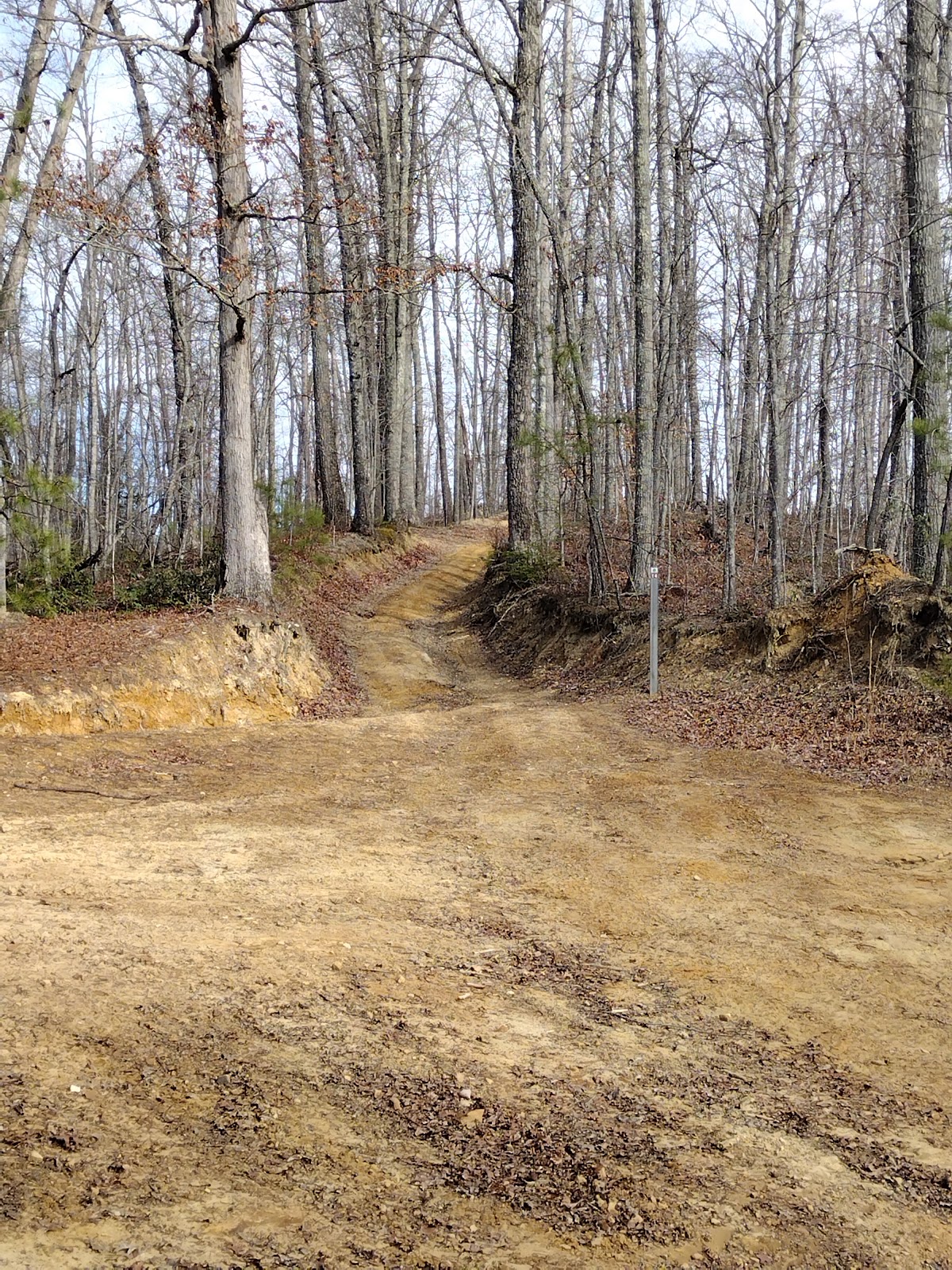 Cabwaylingo SF - Tick Ridge