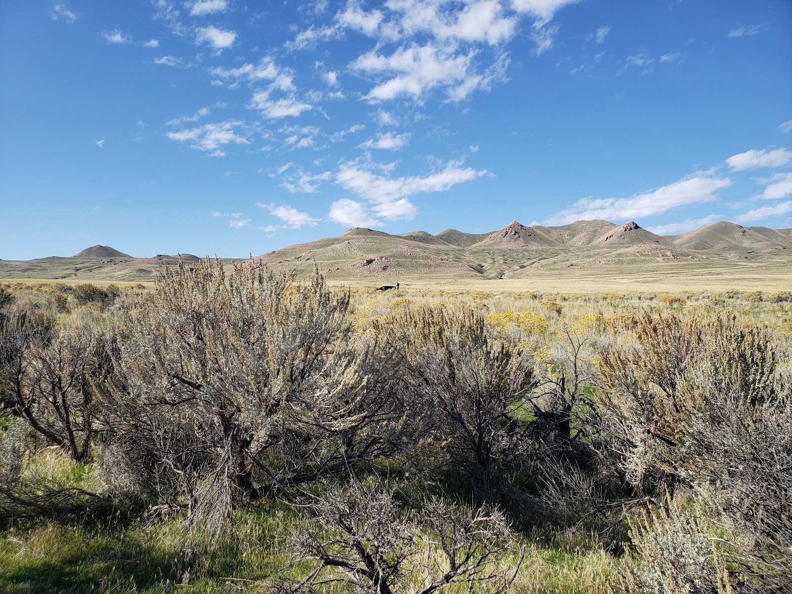 Antelope Island State Park
