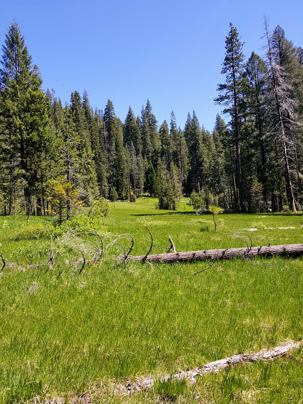 Cherry Hill Campground