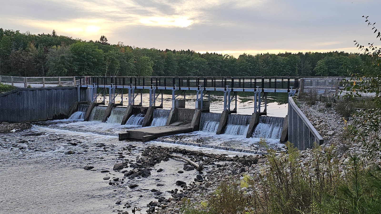 Reedsburg Dam SF Campground