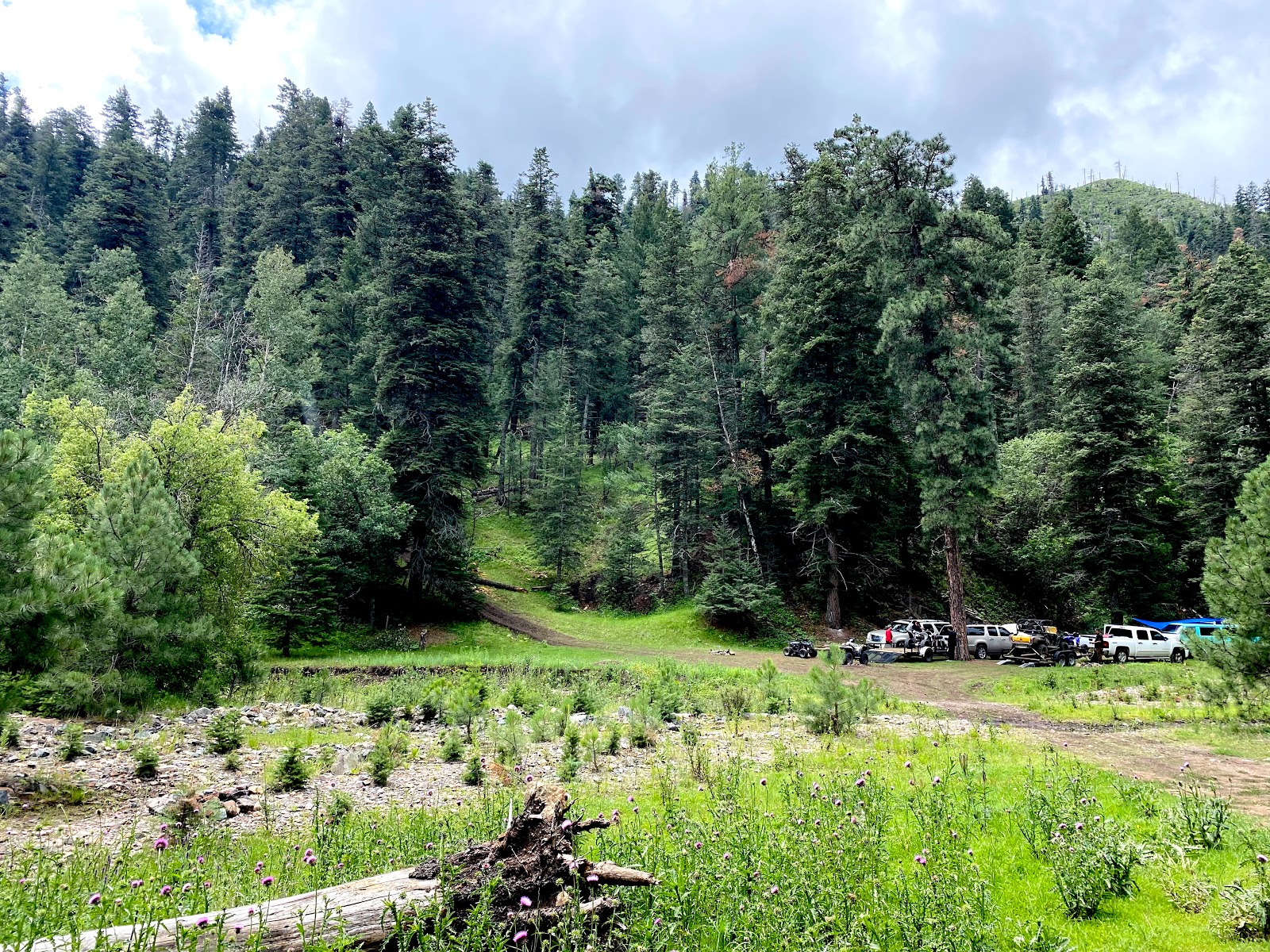 Upper Bonito Dispersed Rec Area