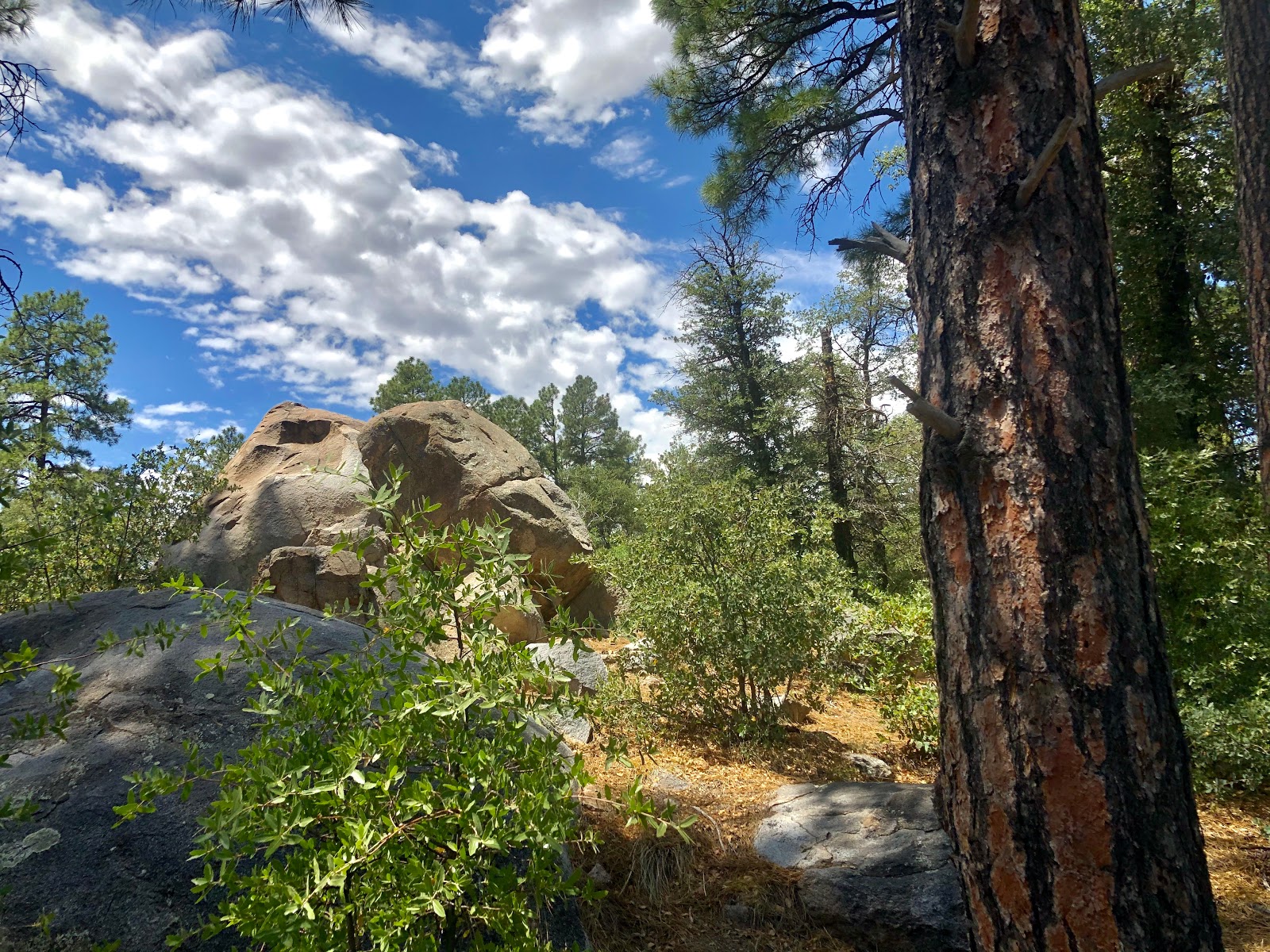 Powell Springs Campground
