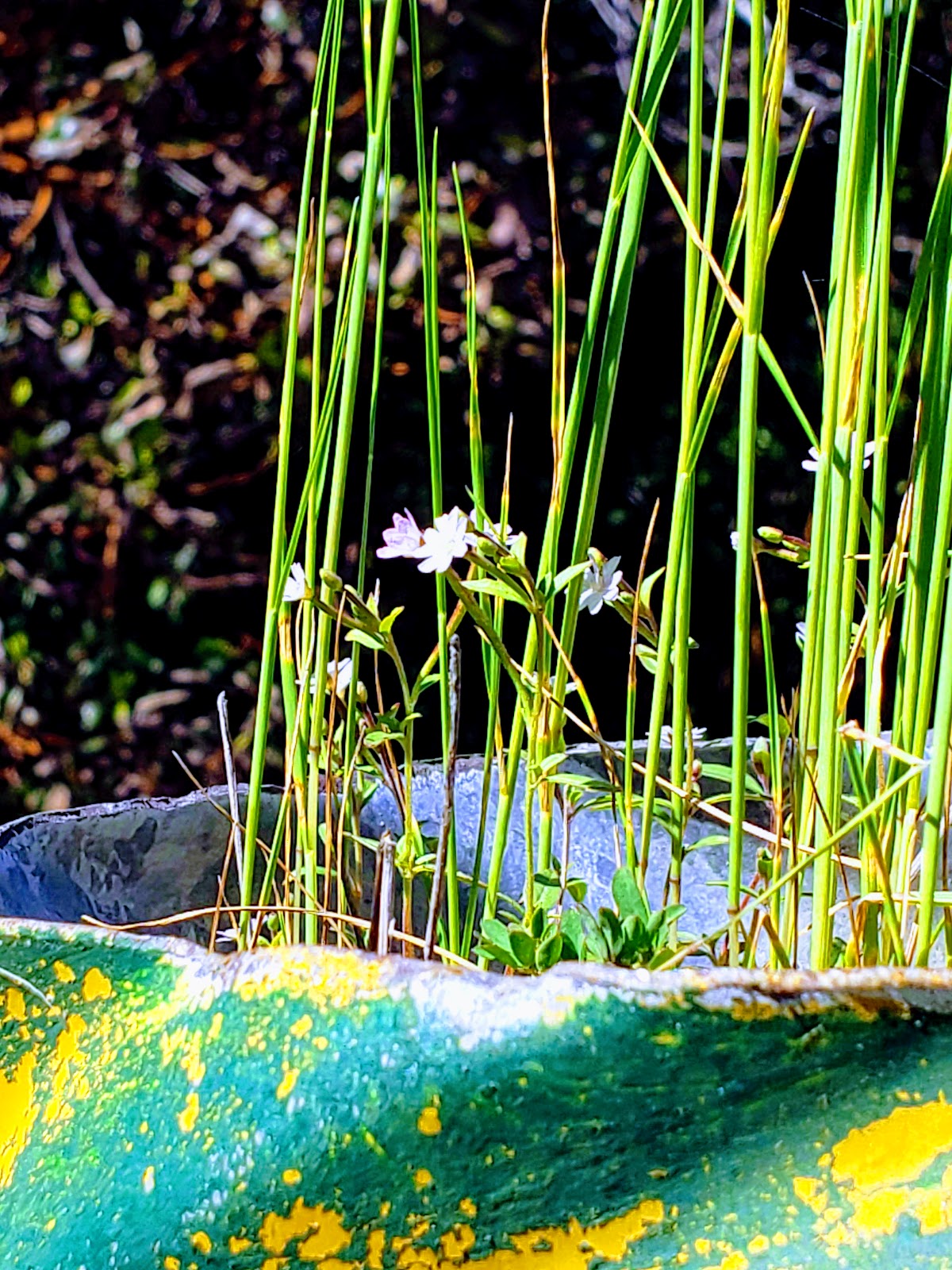 Nordheimer Campground