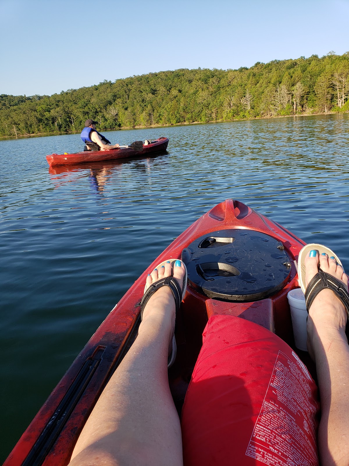 Buzzard Roost Harbor