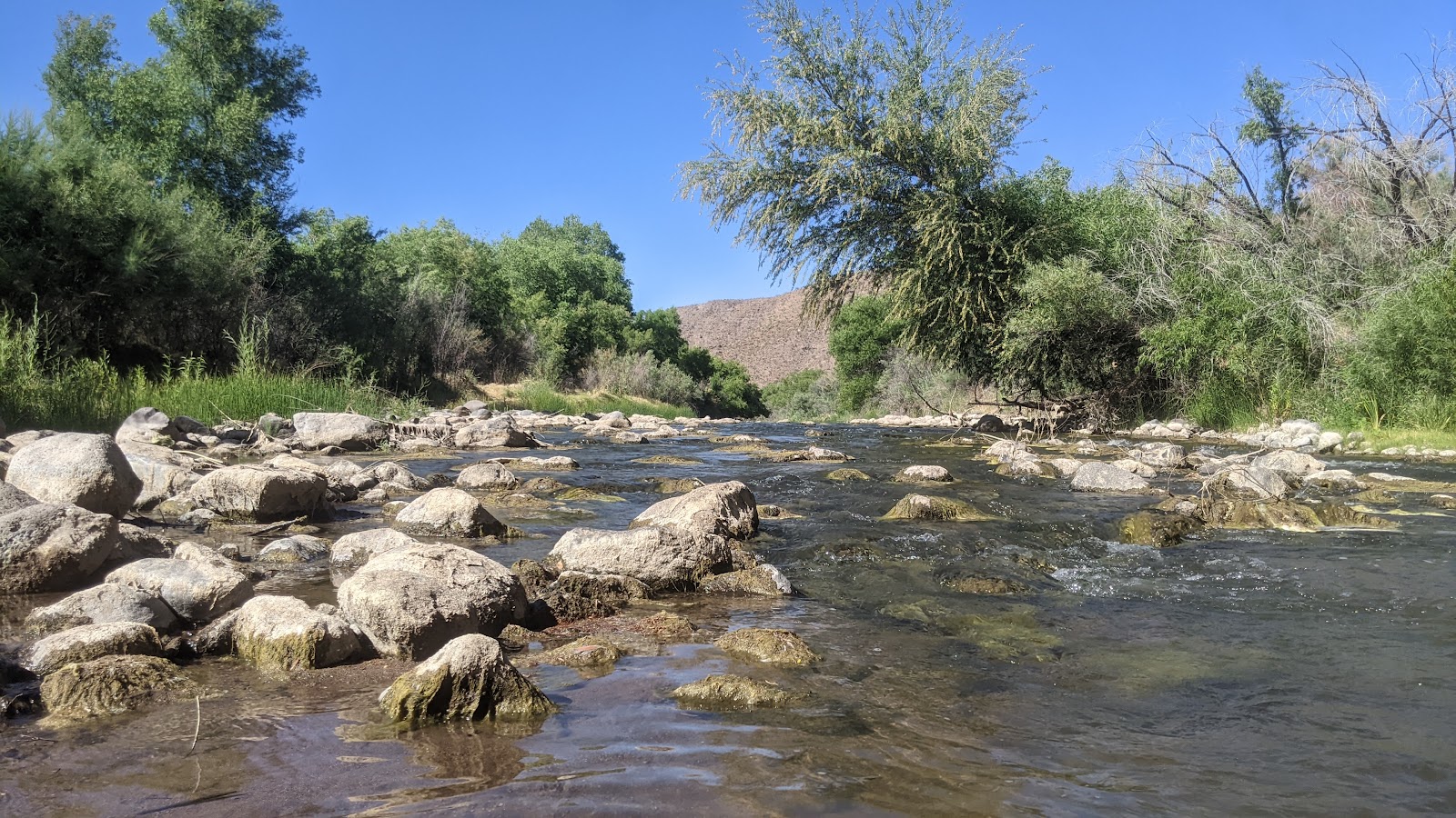 Riverview Campground (recgovnpsdata)