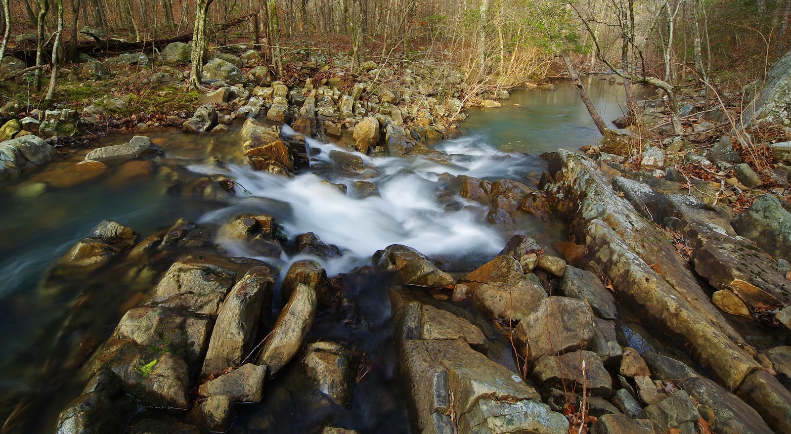 Flatside Wilderness Area